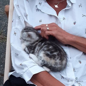 Tendresse Tendresse