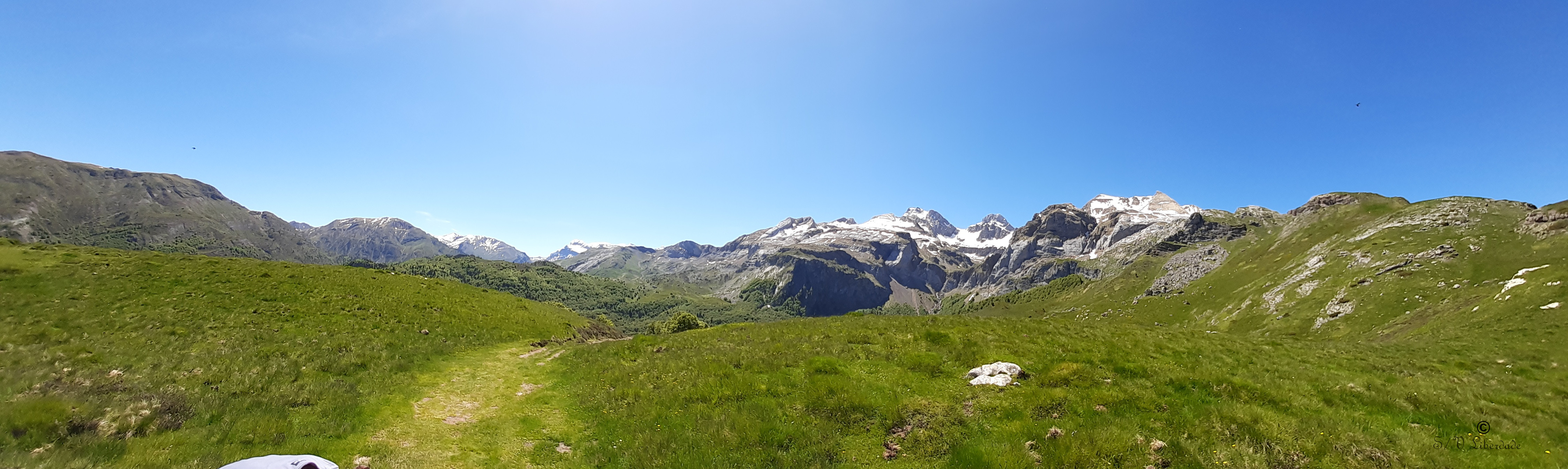 Panorama