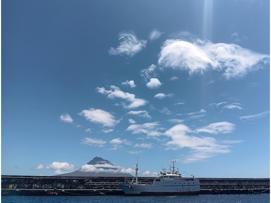 Volcan Pico vu depuis la baie de Horta