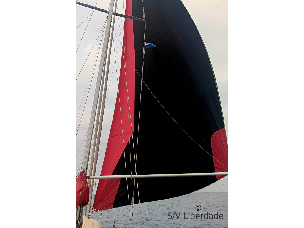 Spi Liberdade sous spi