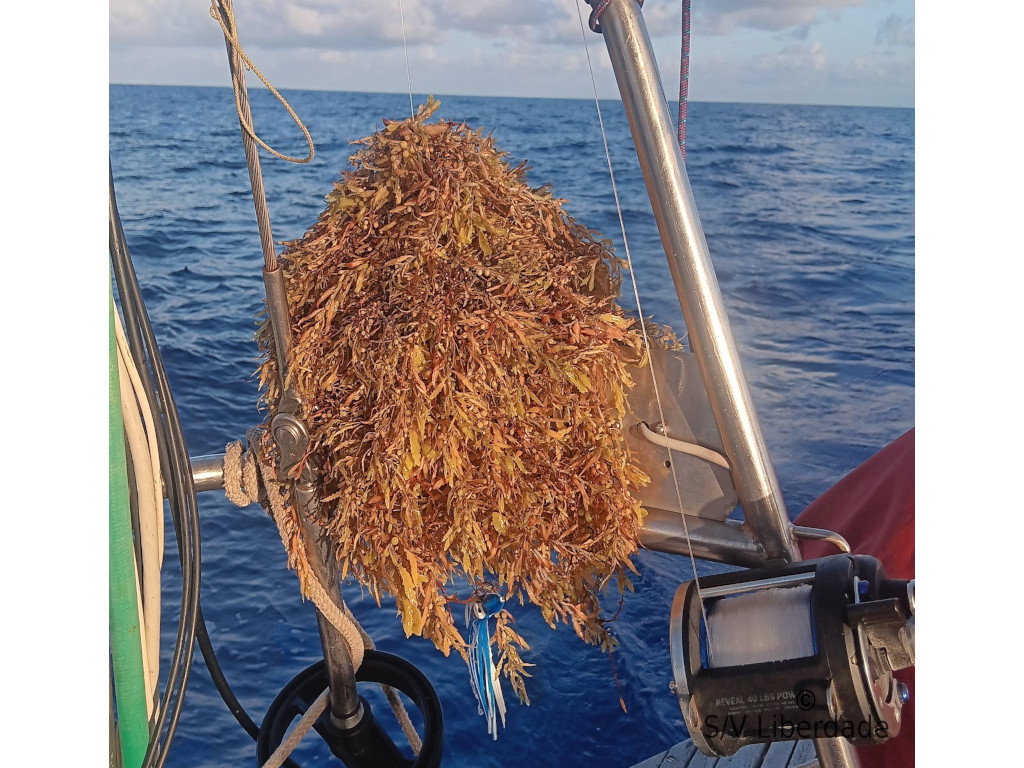 Tentative de pêche